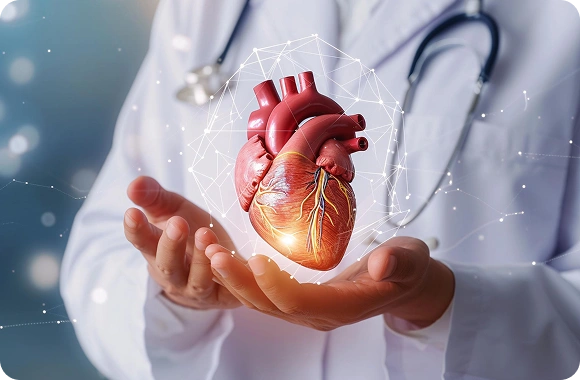 Cardiology