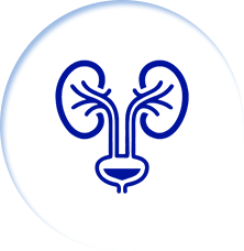 Icon 1