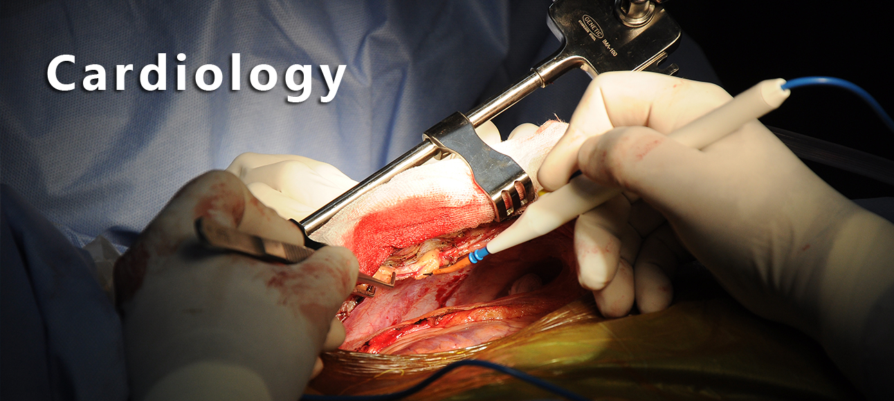 Interventional cardiologist